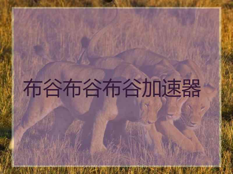 布谷布谷布谷加速器
