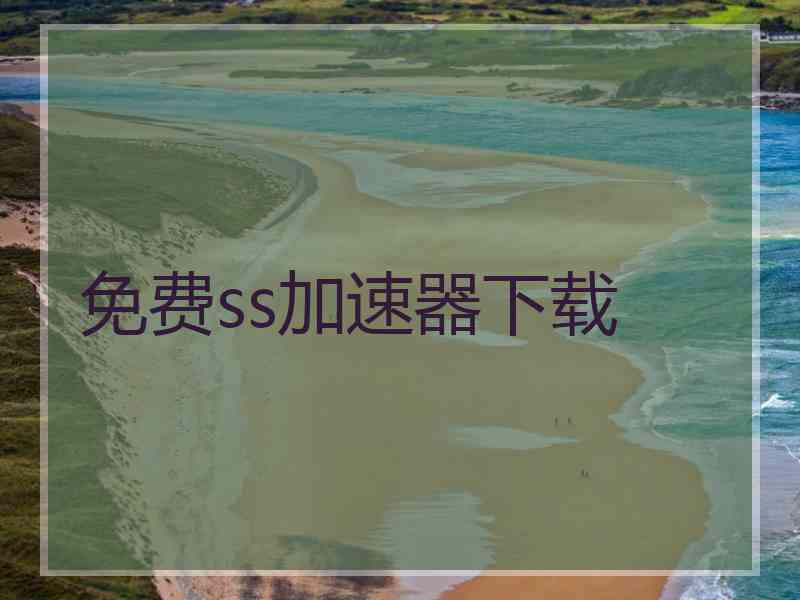 免费ss加速器下载
