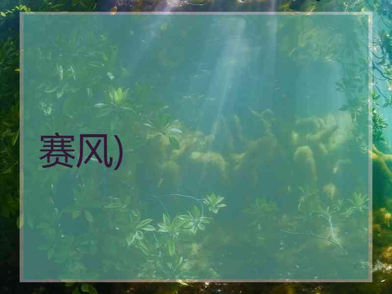 赛风)