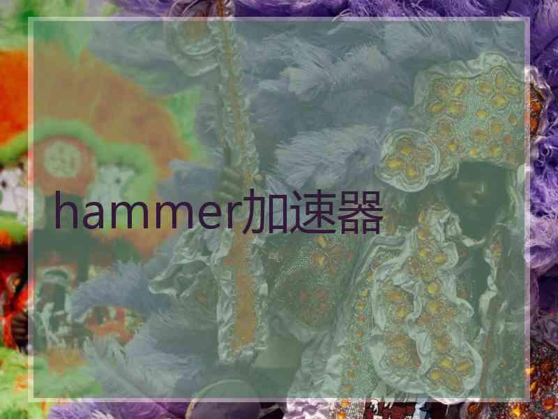 hammer加速器