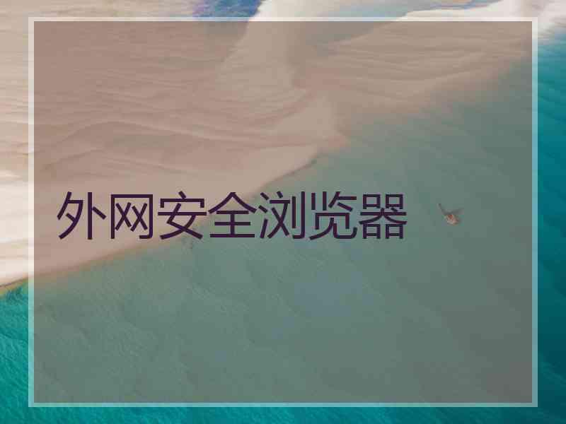 外网安全浏览器