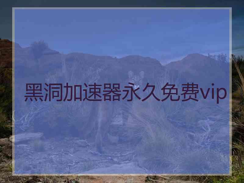 黑洞加速器永久免费vip