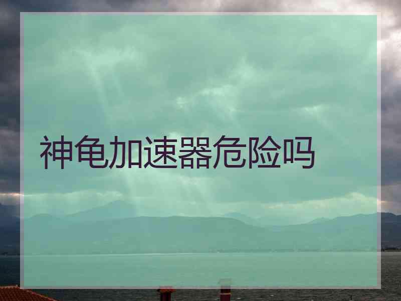 神龟加速器危险吗