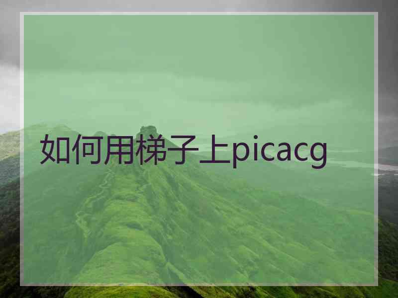 如何用梯子上picacg