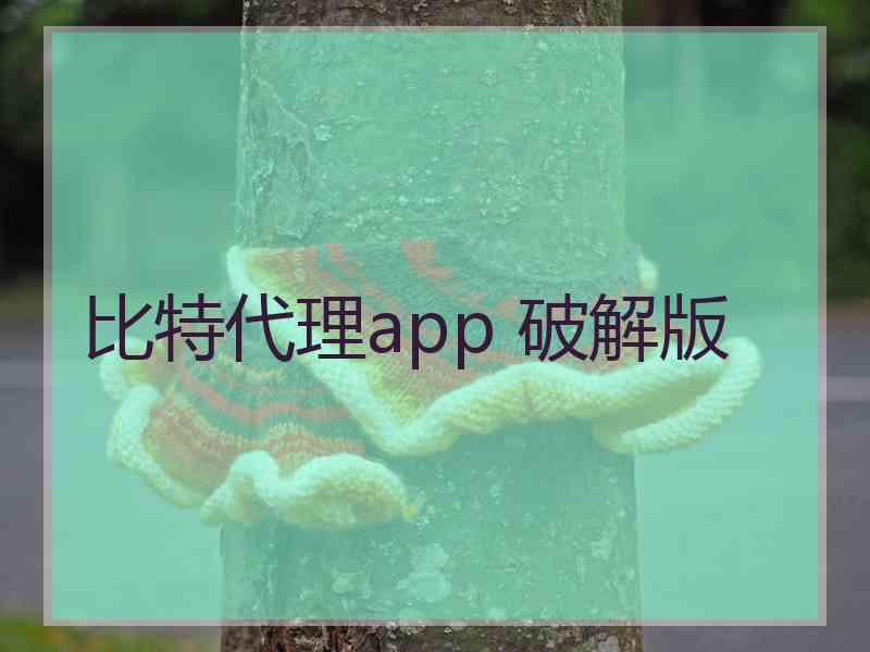 比特代理app 破解版