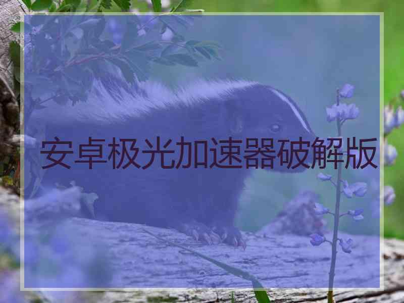 安卓极光加速器破解版
