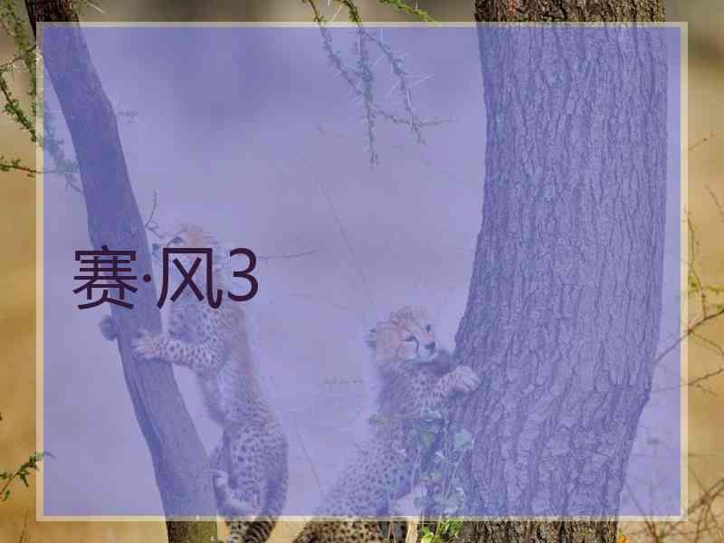 赛·风3