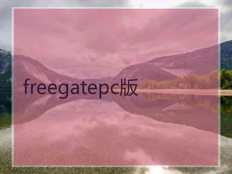 freegatepc版