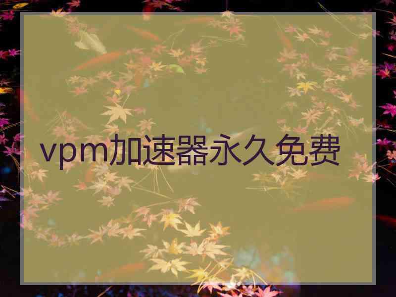 vpm加速器永久免费