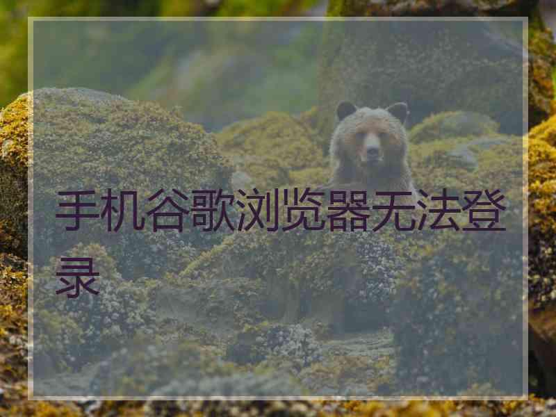 手机谷歌浏览器无法登录