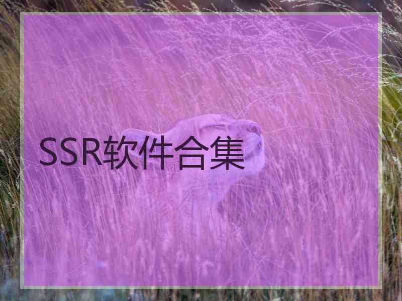 SSR软件合集