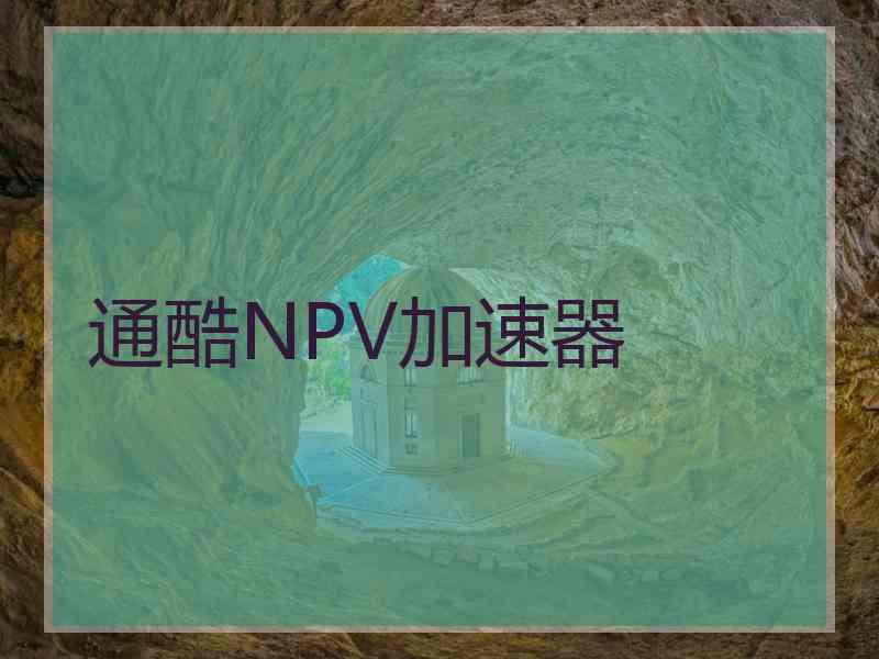 通酷NPV加速器