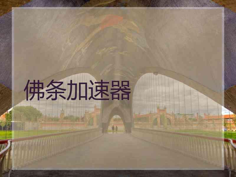 佛条加速器