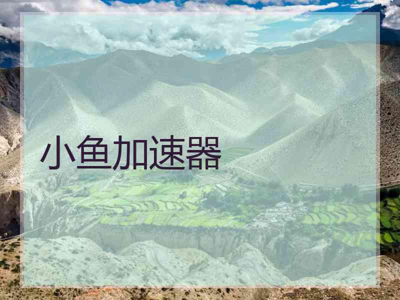 小鱼加速器