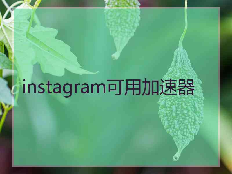 instagram可用加速器