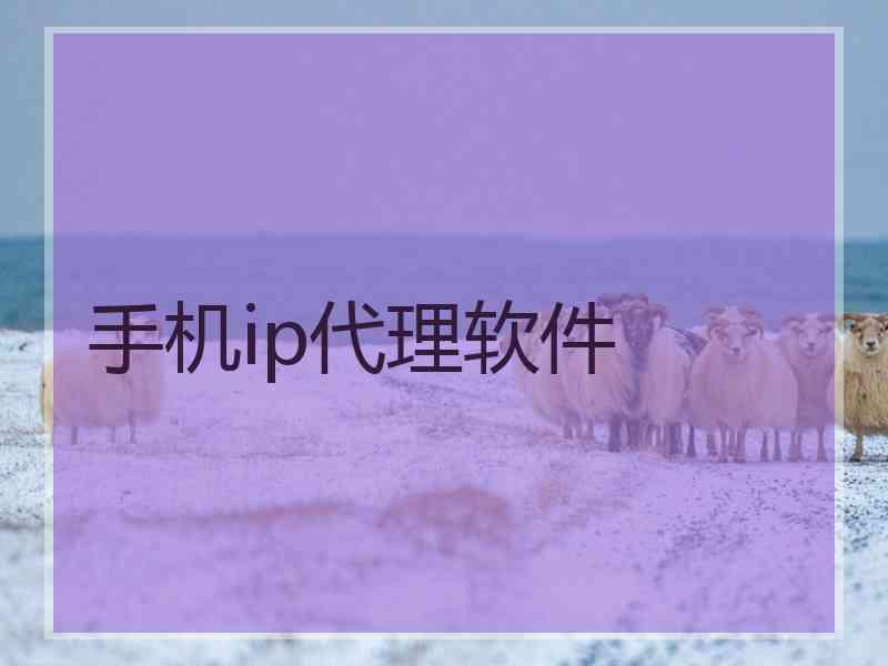 手机ip代理软件