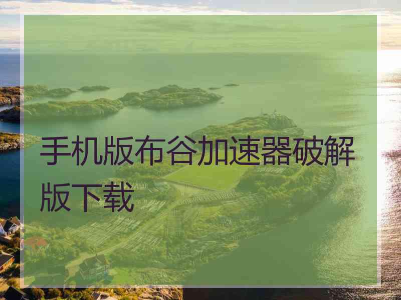 手机版布谷加速器破解版下载