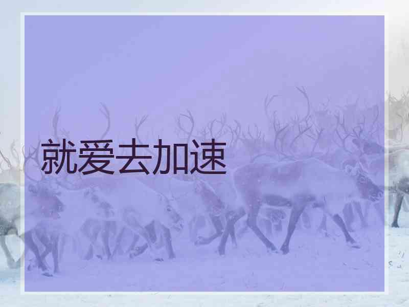 就爱去加速