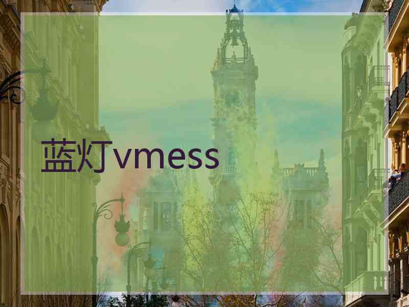 蓝灯vmess