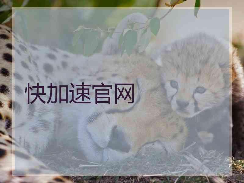 快加速官网