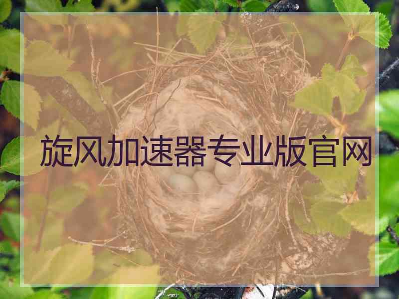 旋风加速器专业版官网