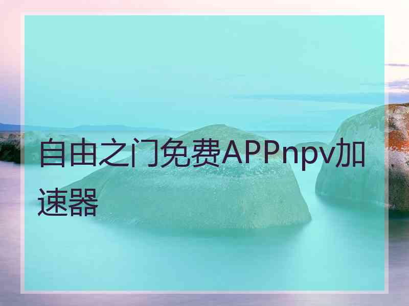 自由之门免费APPnpv加速器