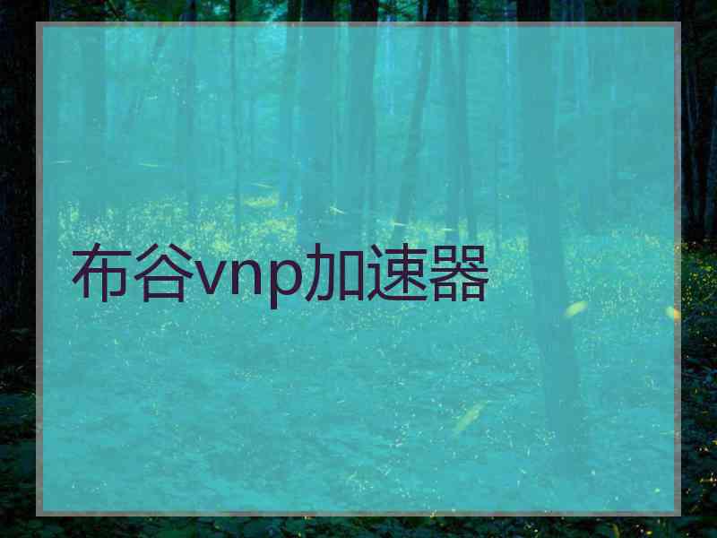 布谷vnp加速器