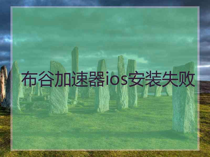 布谷加速器ios安装失败