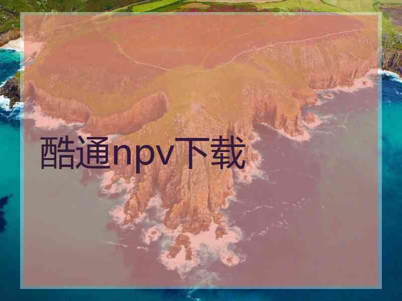 酷通npv下载