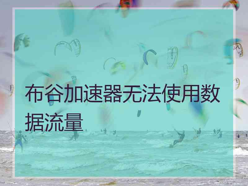 布谷加速器无法使用数据流量