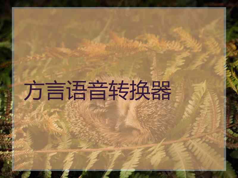方言语音转换器