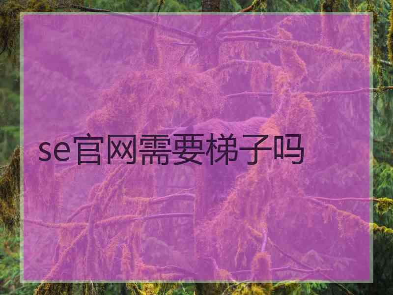 se官网需要梯子吗