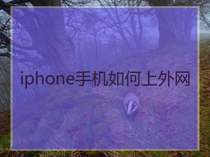iphone手机如何上外网