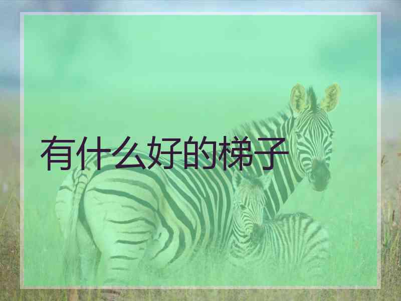 有什么好的梯子