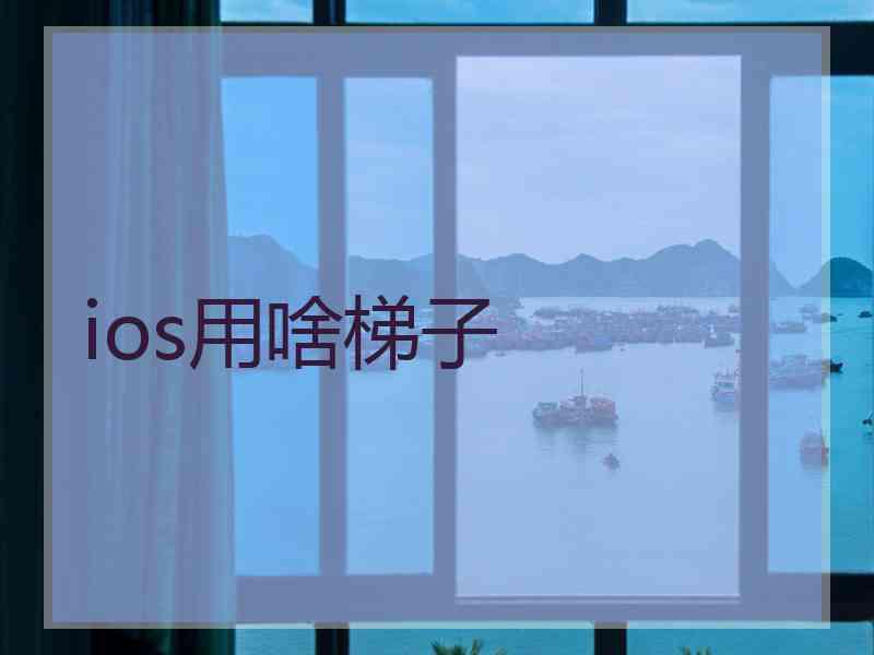 ios用啥梯子