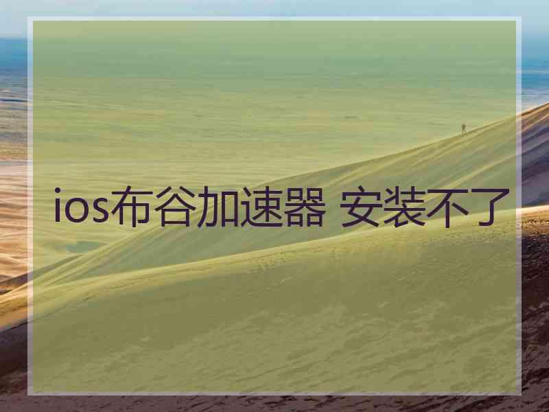 ios布谷加速器 安装不了