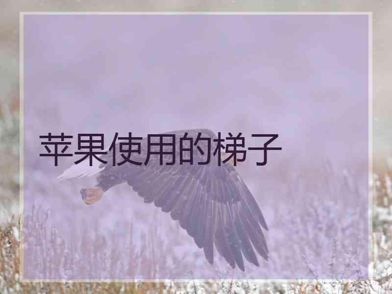 苹果使用的梯子