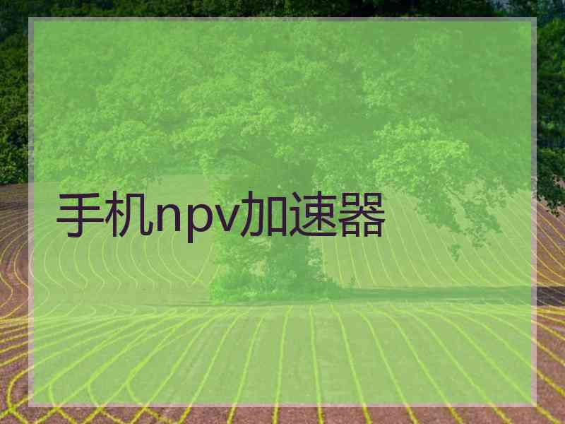 手机npv加速器