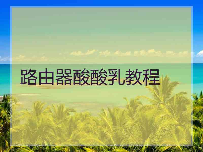路由器酸酸乳教程