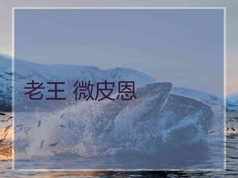 老王 微皮恩