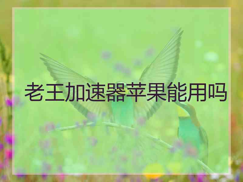 老王加速器苹果能用吗