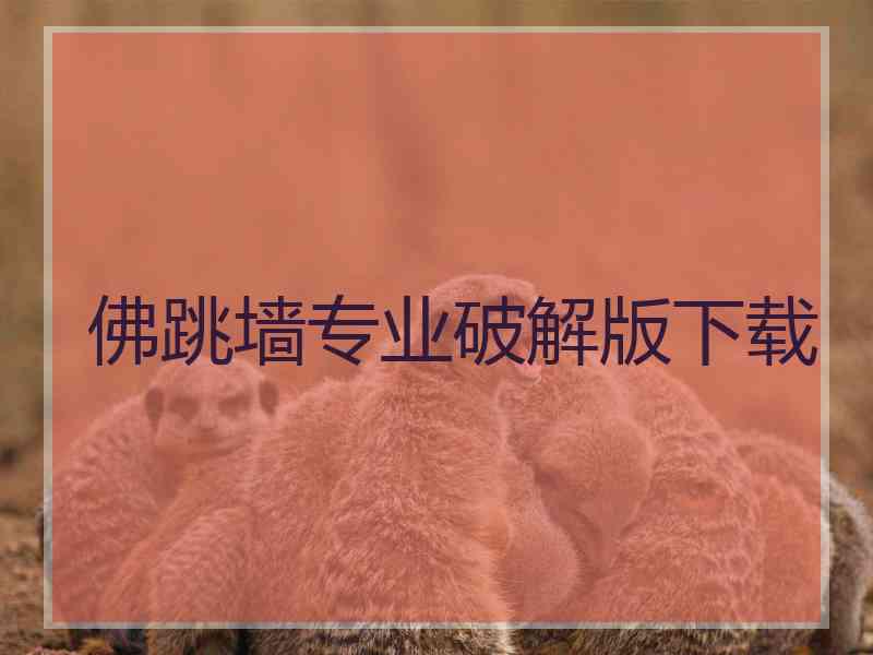 佛跳墙专业破解版下载