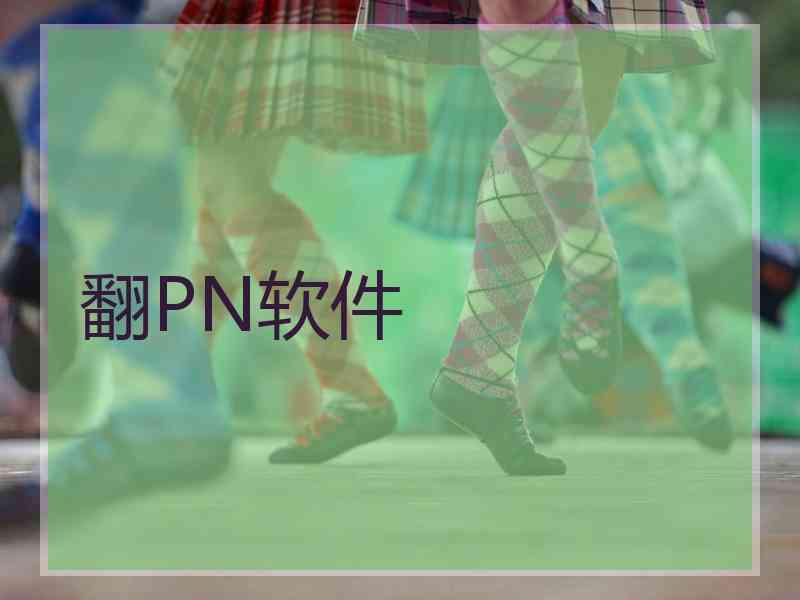 翻PN软件