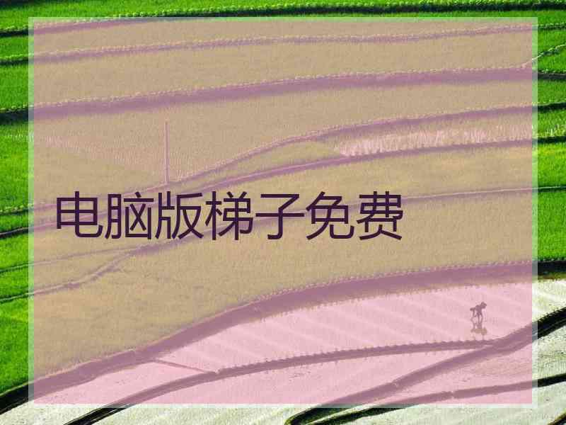 电脑版梯子免费