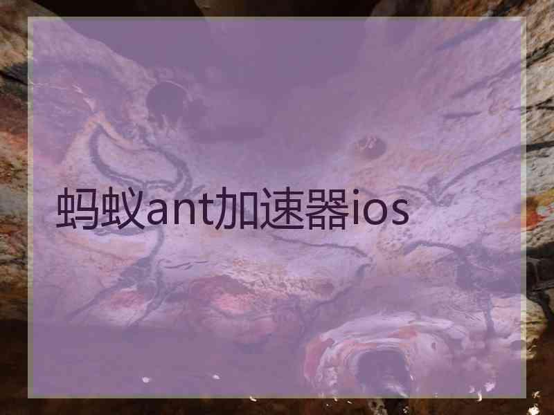 蚂蚁ant加速器ios