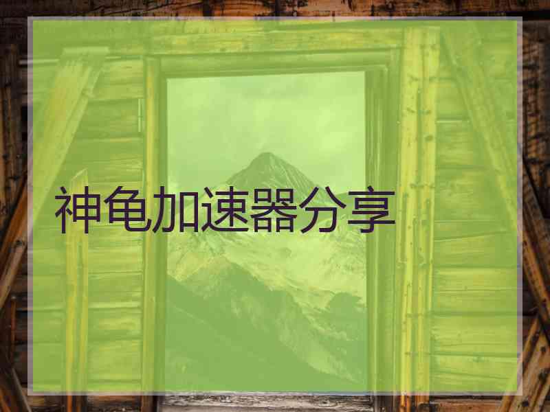 神龟加速器分享