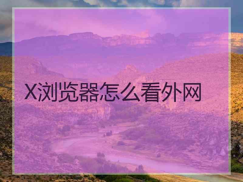 X浏览器怎么看外网