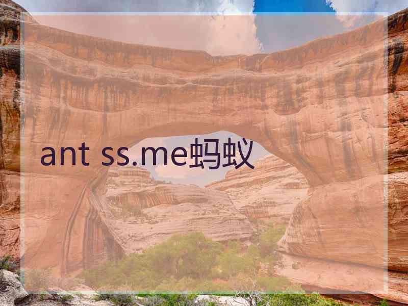 ant ss.me蚂蚁