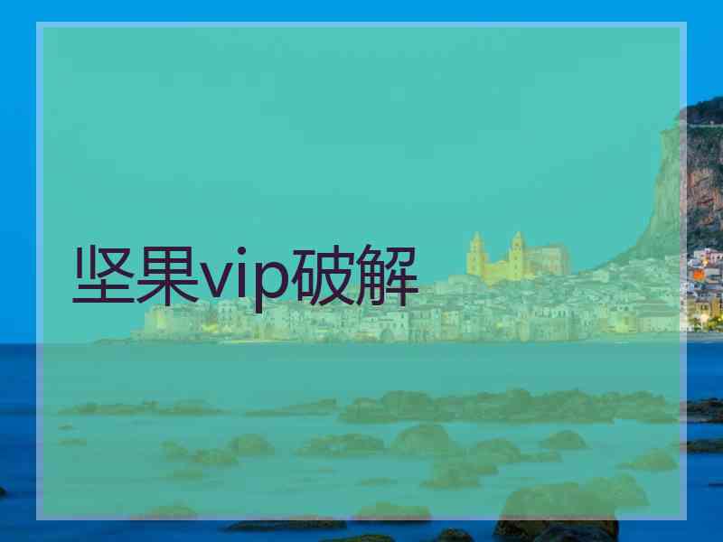 坚果vip破解