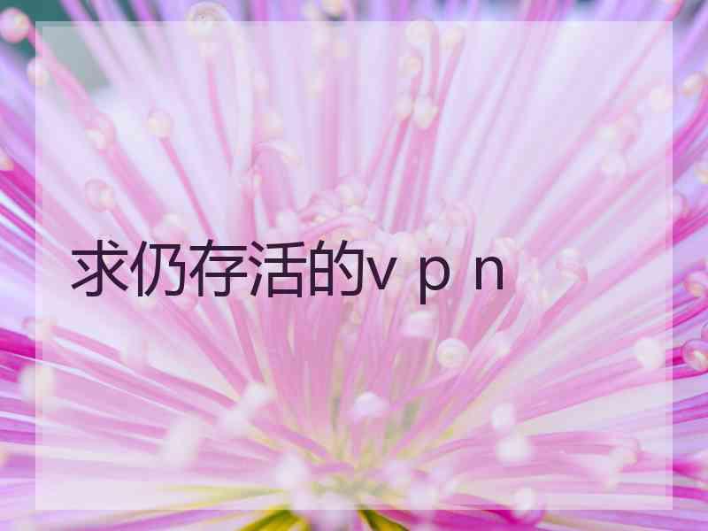 求仍存活的v p n